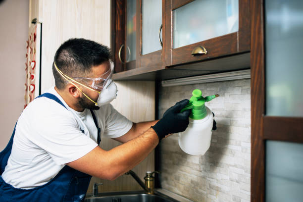 Best Best Pest Control Companies  in Corning, IA