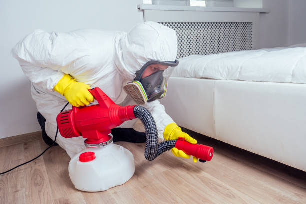 Best Exterminator Services  in Corning, IA