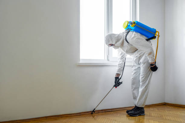 Best Insect Control  in Corning, IA