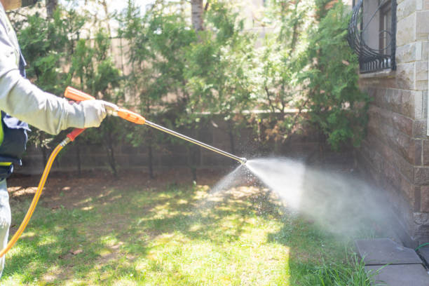 Best Termite Control Services  in Corning, IA