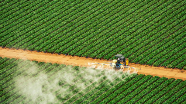Best Pest Prevention Services  in Corning, IA