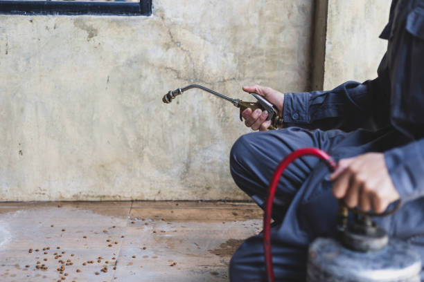 Best Pest Control Near Me  in Corning, IA